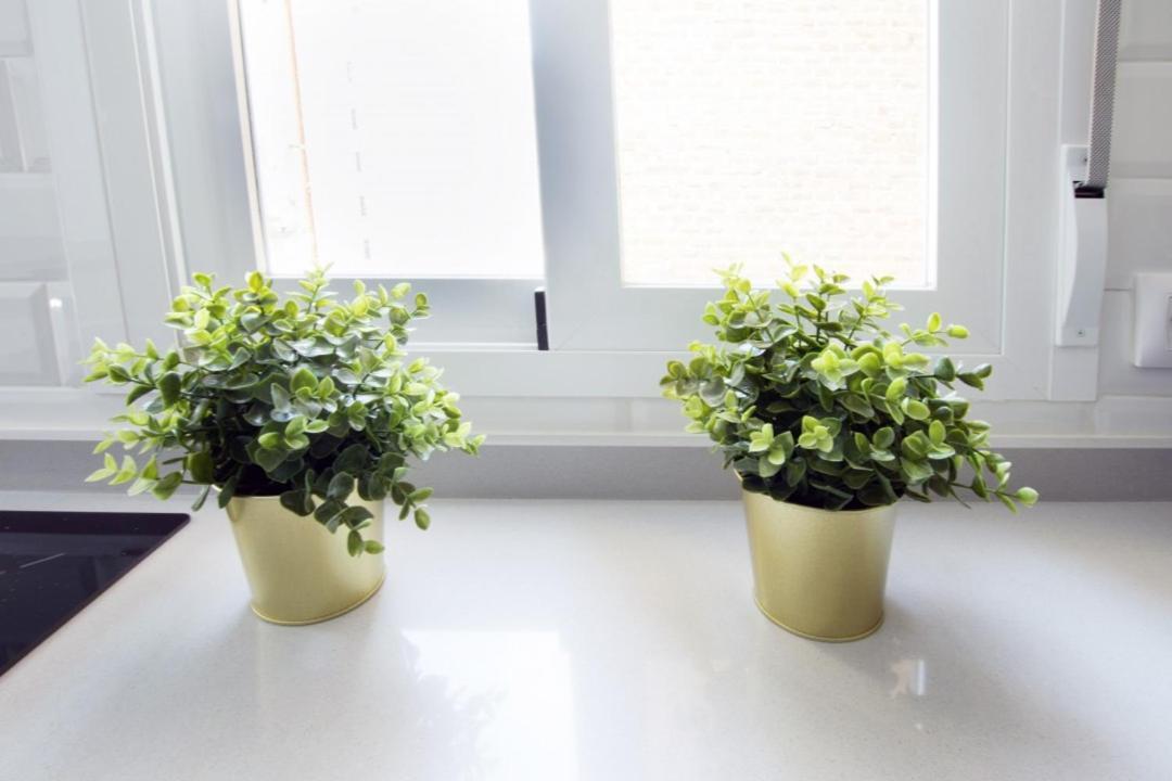 Apartamento Minty - Ortega Y Gasset